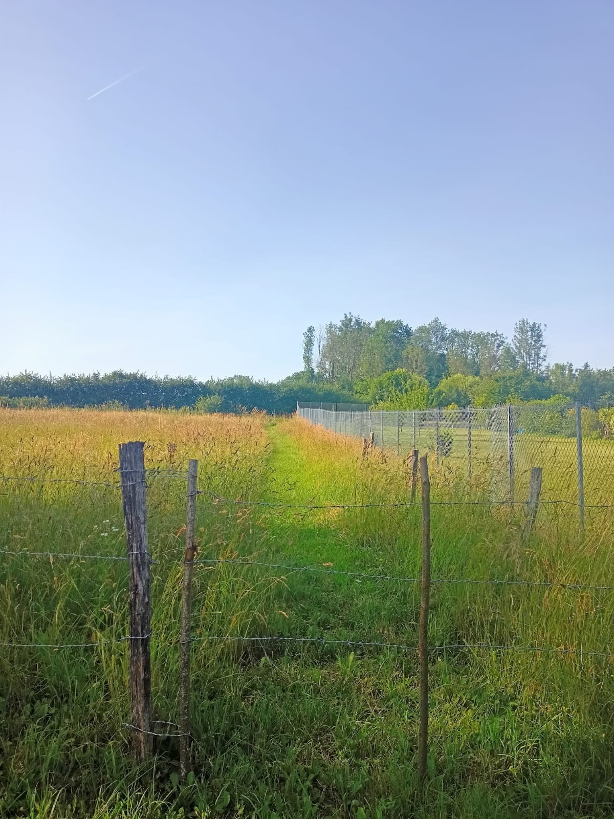 Accès chemin haut