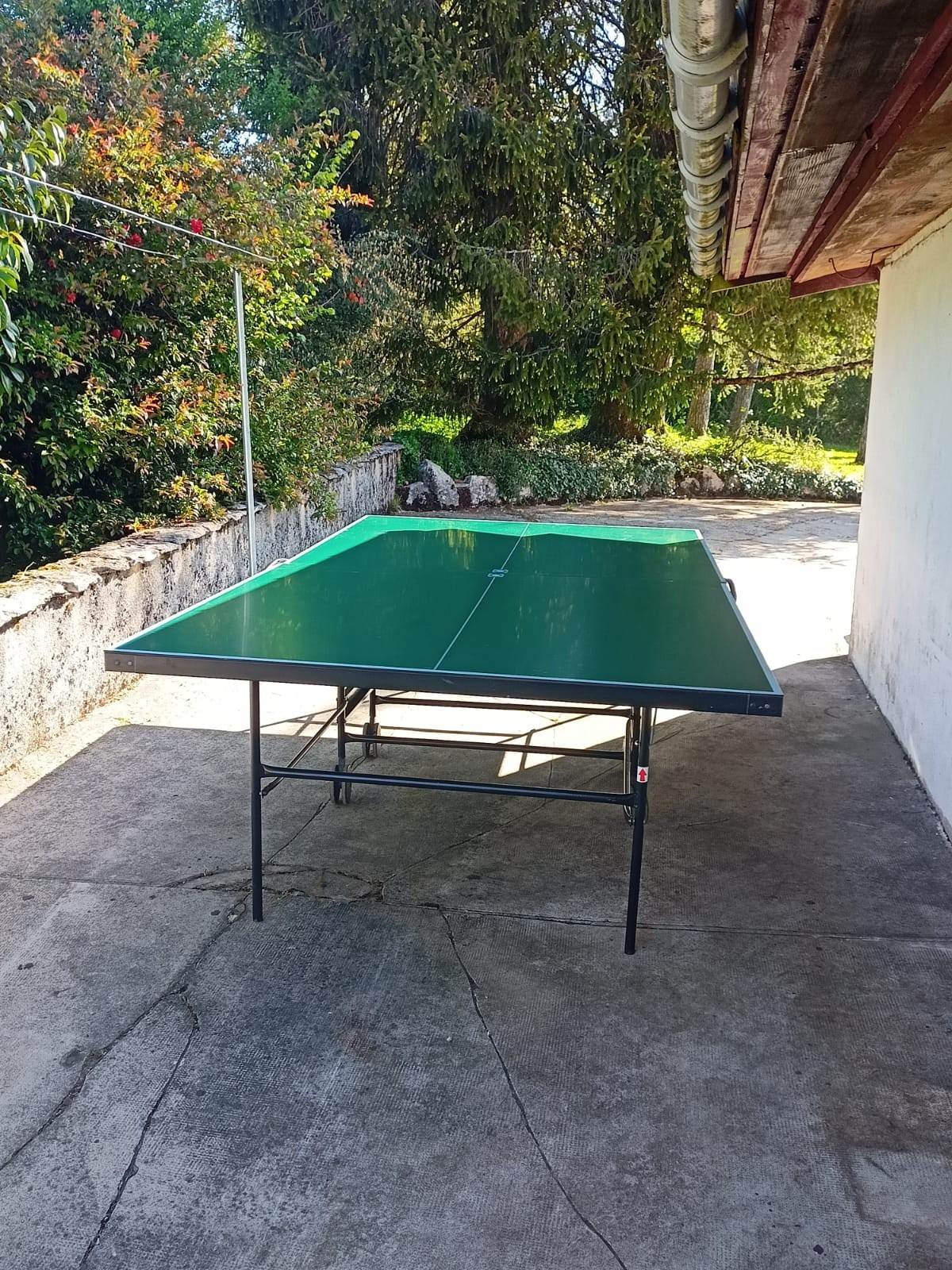 Table de ping pong
